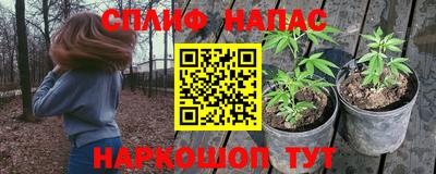 PSILOCYBIN Вышний Волочёк