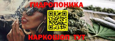 PSILOCYBIN Вышний Волочёк